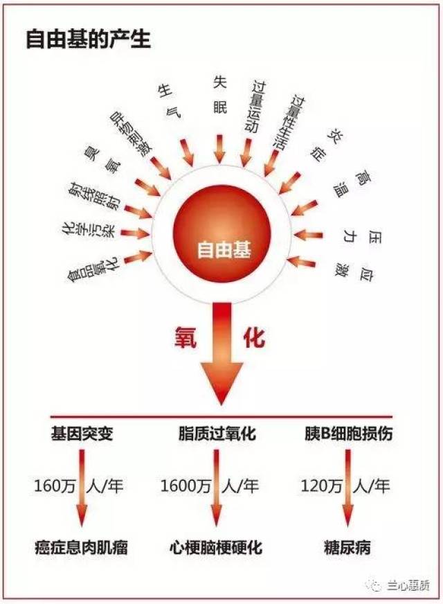 氧化〗可不是上述的【抵抗氧气化合】,而是【抵御促进衰老的 自由基】