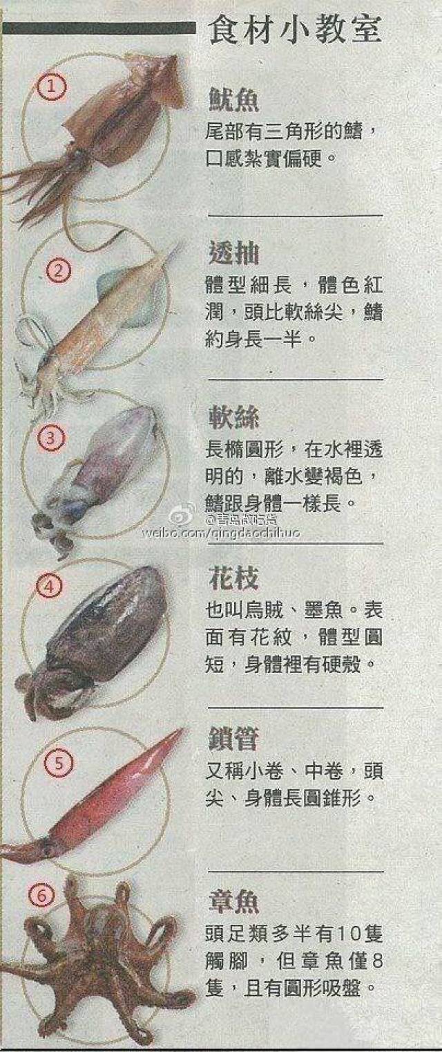 乌鱼比鱿鱼贵,外形除了胖一点外,和鱿鱼还有个区别是乌鱼体内有个硬壳