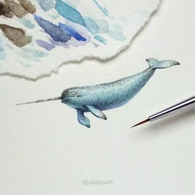 独角鲸(narwhal),好像传说中的生物