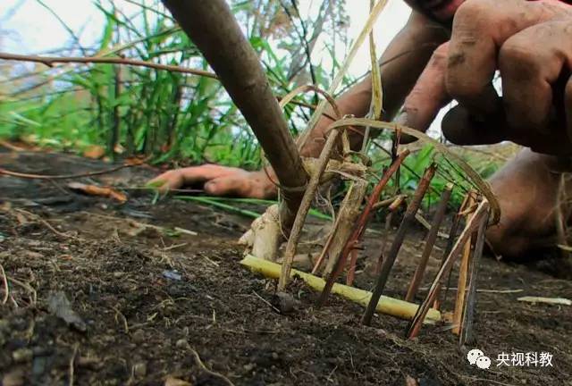 水蛭叮人吸血后容易引起人体感染,所以科教授提醒大家,在野外我们应该