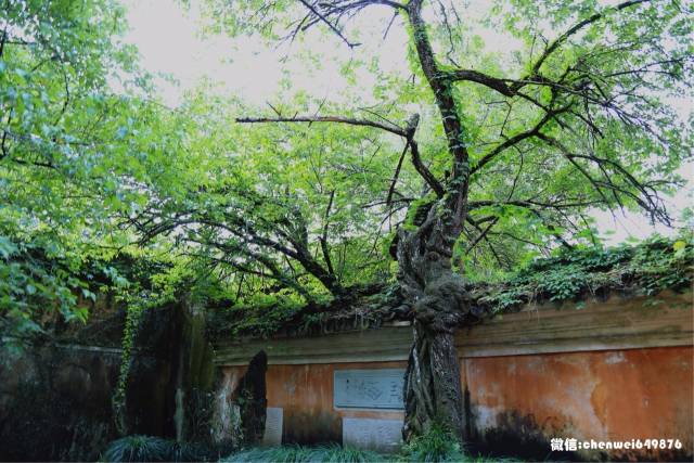 摄影圈|天台山八大景之双涧回澜(国清寺)篇