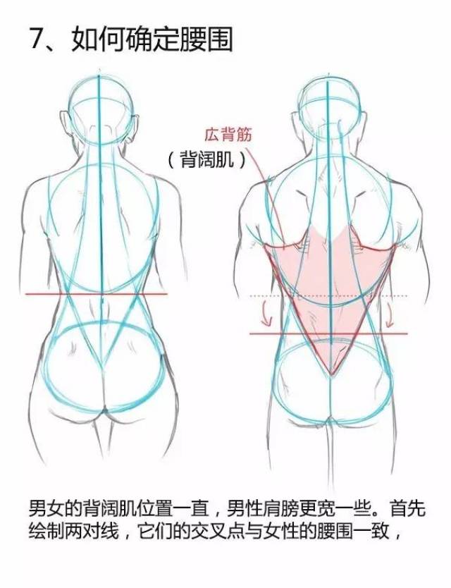 【绘画教程】男女背部的差异画法(人体练习必学)