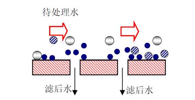 天健学堂│膜过滤技术