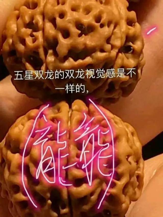 不是所有的都叫双龙,牛逼了!