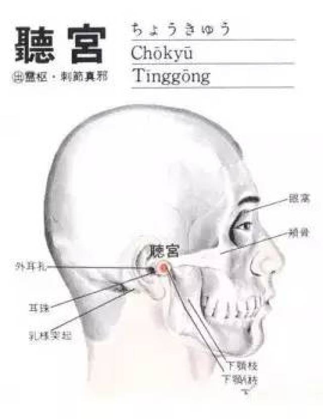 搭耳右边加它怎么读_右边耳屏上有痣图解