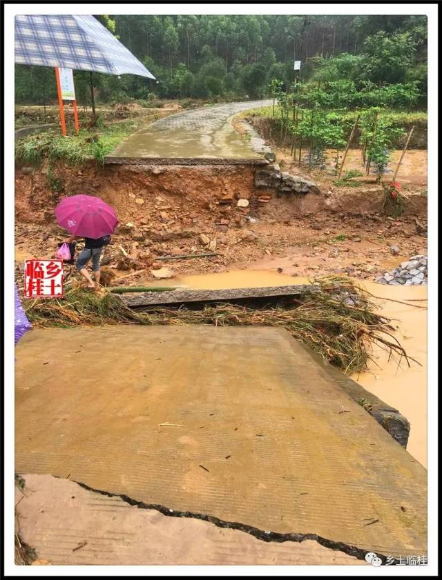 洪灾过后,六塘船岭道路恢复,重迎游客!