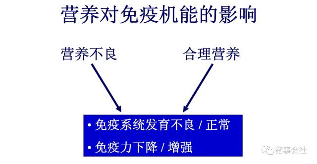 陈代文教授:猪抗病营养的理论与实践