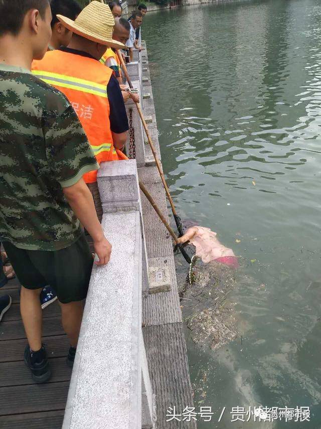 开闸放水,并成功将悬浮于岸边观景台下方的一具女尸打捞上岸 谢金彬