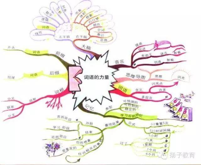 思维模式差异大的思维导图,可能对您是天书