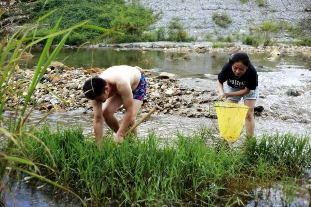 追忆童年的保留节目丨小河水浅捞虾米