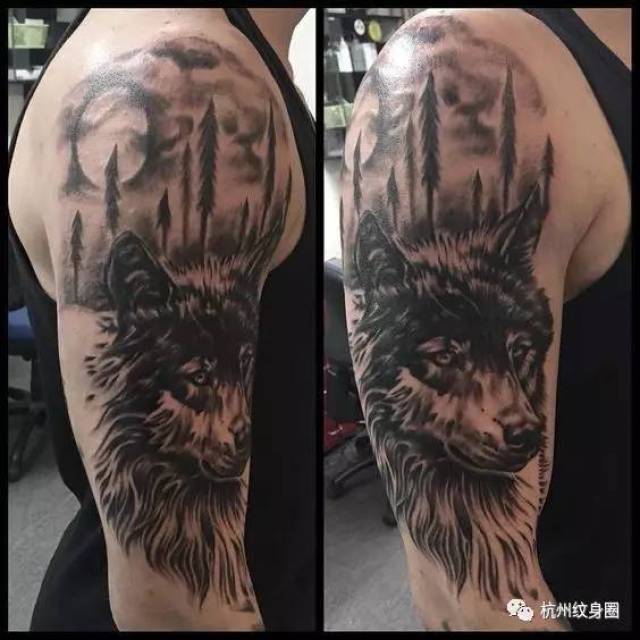 tattoo 纹身素材:狼