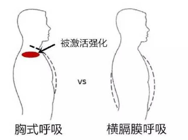 用横膈膜呼吸