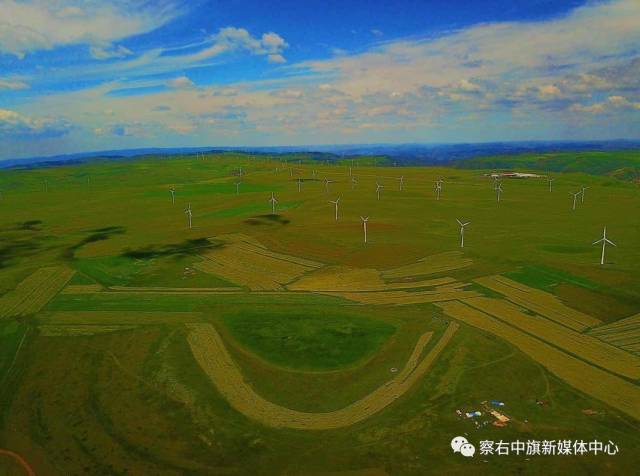 乌兰察布市察右中旗紧紧围绕"鲜花草原"这张名牌,对辉腾锡勒景区进行