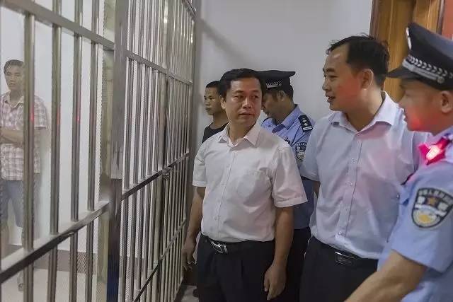 战果丰硕: 本次行动中,巴马县公安局共破刑事案件29起,其中破毒品