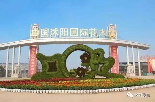 第五届中国沭阳花木节,怎么办您说了算!
