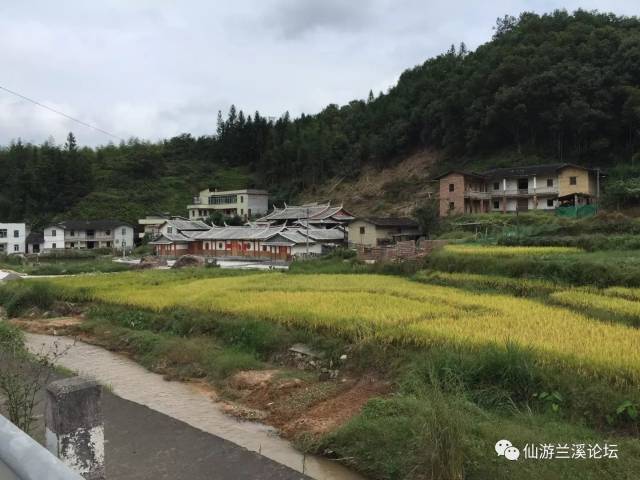 仙游度尾圣山村有多少人口_仙游度尾剑山小学