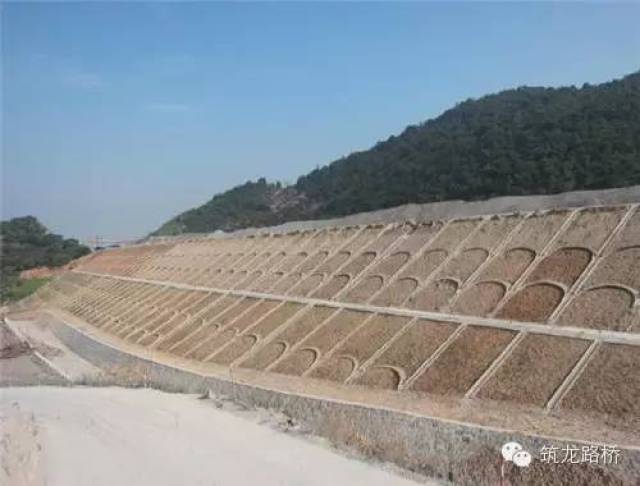 具备了边坡防护功能,并使道路景观与周围自然环境协调一致,高速公路