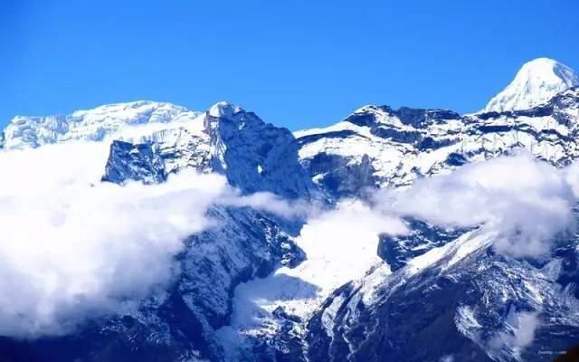 雪山陌佳简谱_陌陌头像