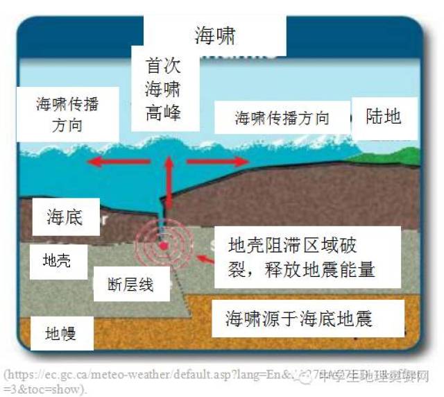 国际地理奥林匹克竞赛