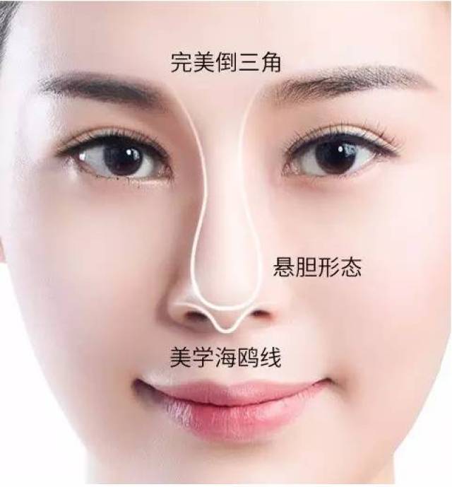 有个成语叫什么之以鼻_含反义词的成语有什么(2)