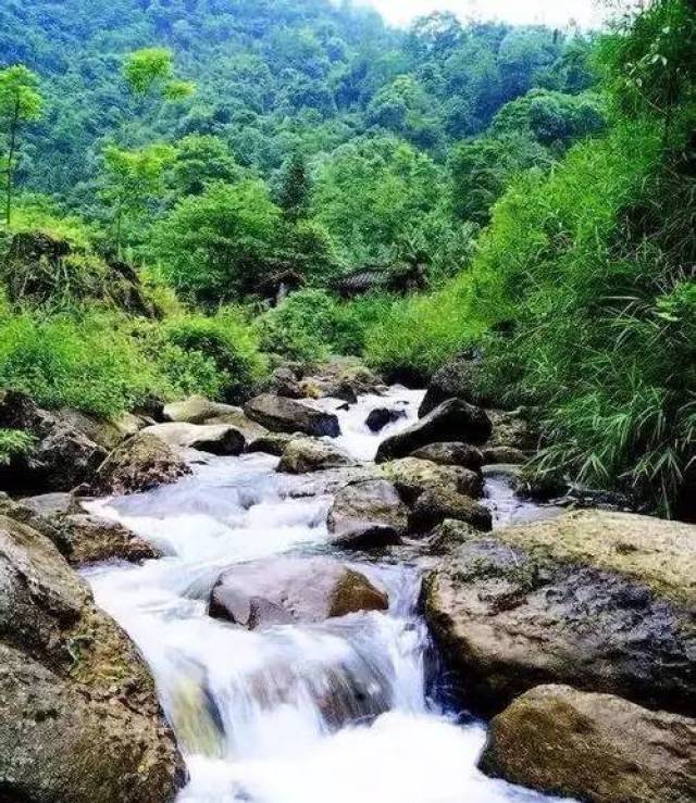 绵阳周边20℃超凉快的避暑胜地,送给你!