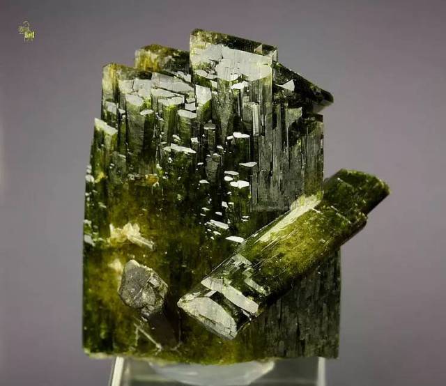 epidote 绿帘石 共生葡萄石与斜绿泥石 代表产地:sayan, huaura