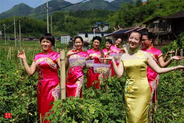 有这么一群穿旗袍的女人惊艳了茶乡屏山