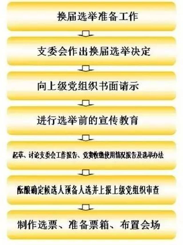 【学习】党支部委员会换届选举程序(流程图)