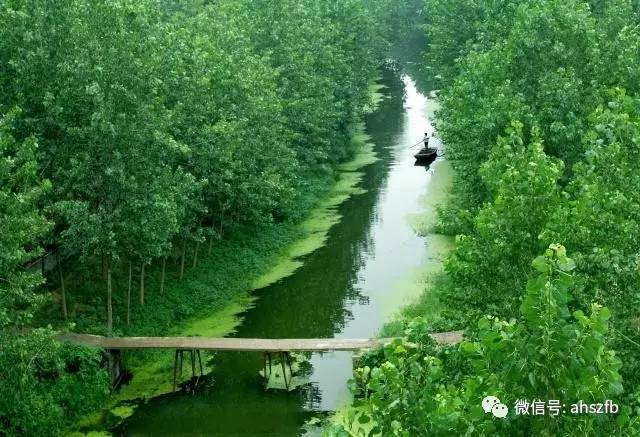 宿州泗县境内约28公里隋唐大运河故道,是运河仅存的"活水
