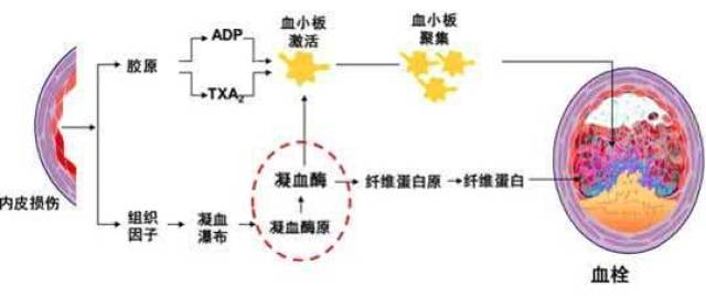 细胞疗理仪是什么原理_雾疗是什么(3)