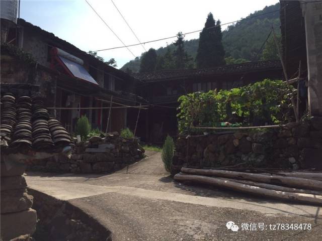 (今日头条)徐世旺:从天台小山村走上国际大舞台