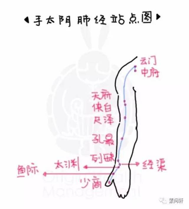 沿路上还有好多车站(穴位 中府穴,云门穴,天府穴,侠白穴,尺泽穴,孔