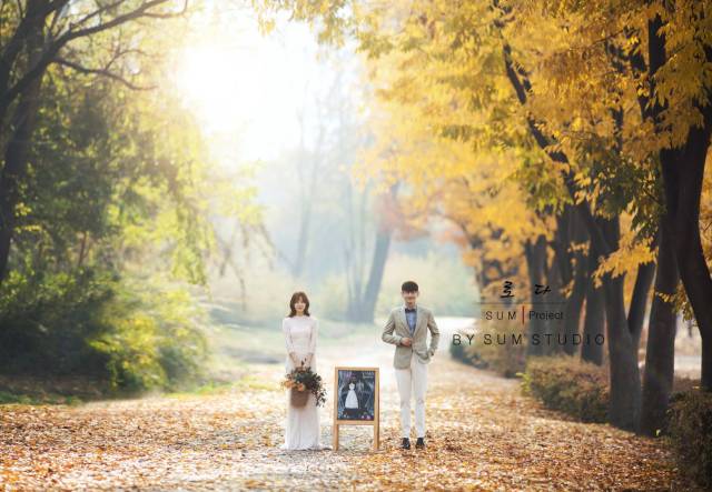 旅拍说 |拍婚纱照的季节,别浪费了秋季的绚烂景色