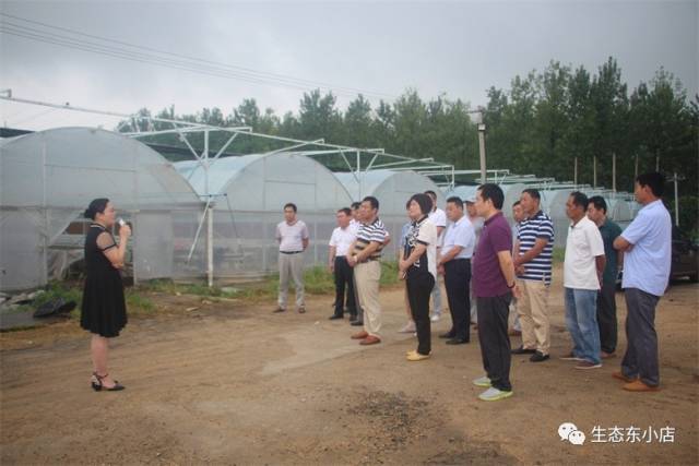 【小店要闻】东小店乡组织赴塘沟镇,胡集镇,十字街道观摩学习土地流转