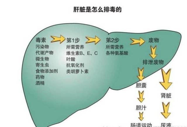 如何避免药物性肝损伤?