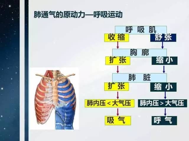 图解正压呼吸机的工作原理