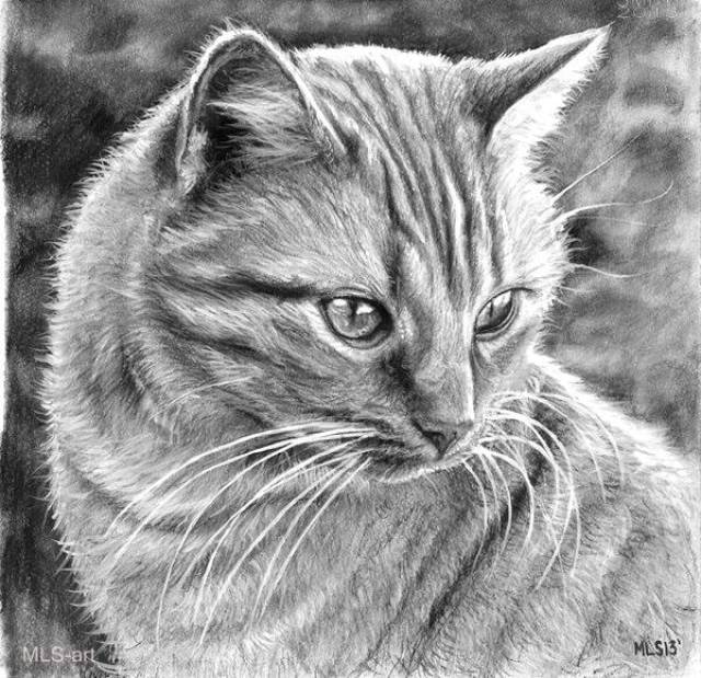 30张猫咪铅笔画,画猫猫的参考哦