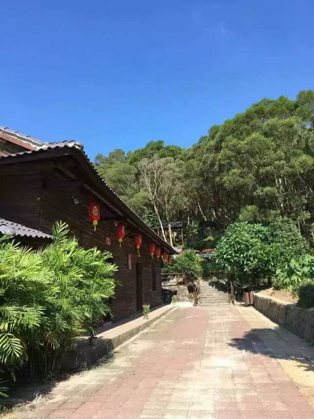 这里山青水秀,人杰地灵,时光静美,附近的民俗古迹,囊山寺,九莲岩