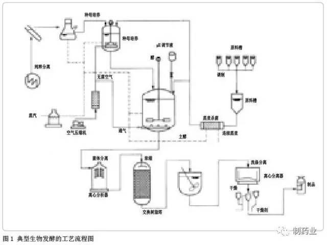 经典生物发酵的工艺流程