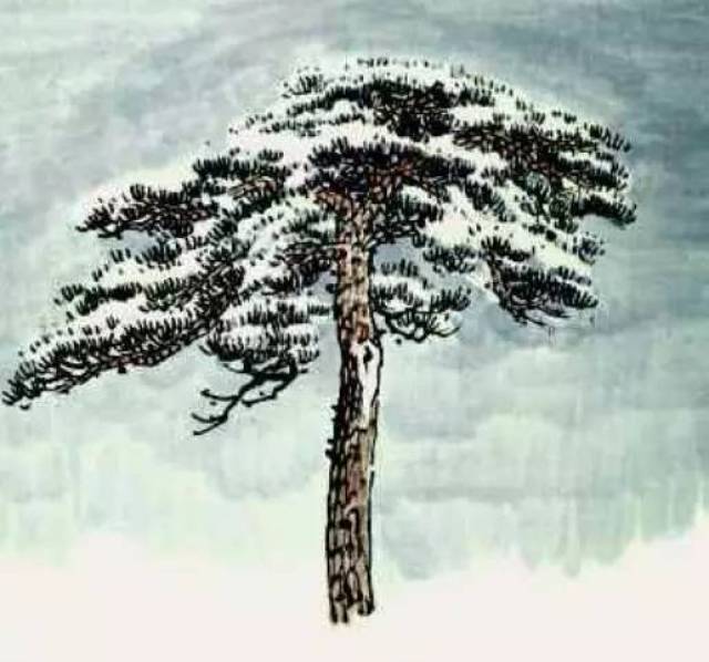 【图文示范教程】松树的画法