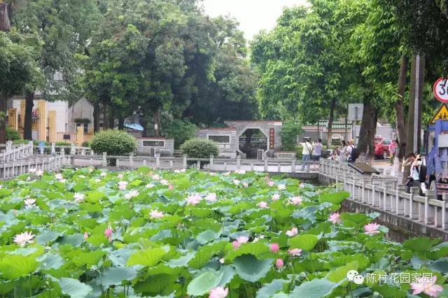 百花讲堂|走进仙涌朱氏始祖祠,探寻这座四百多年的历史建筑