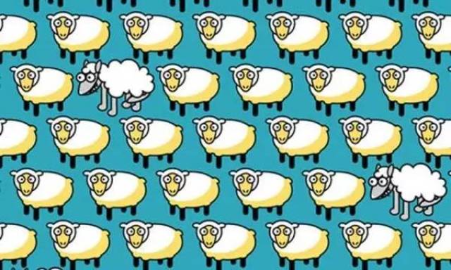据说,数羊能有效治疗失眠,"一只羊,两只羊,三只羊….