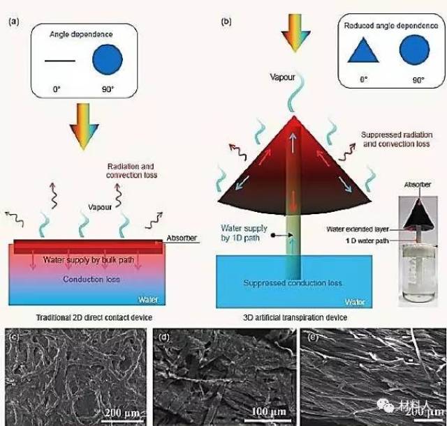 sci rev"人工蒸腾:新型高效太阳能水处理结构