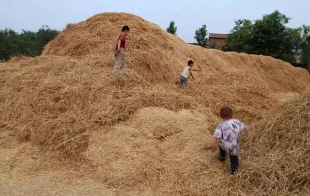 我儿时记忆中的农村老家 看的我眼泪哗哗