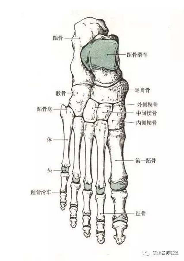 高分必备: 这些 速写 干货 你不知道一定会后悔的!