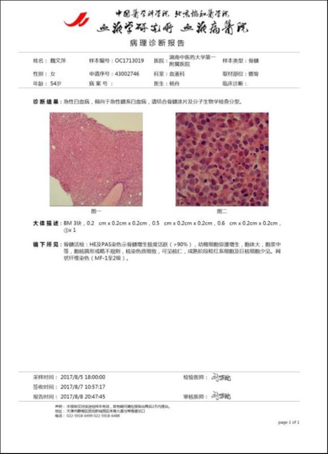 倡议书:爱心筑墙,共抗"血癌"