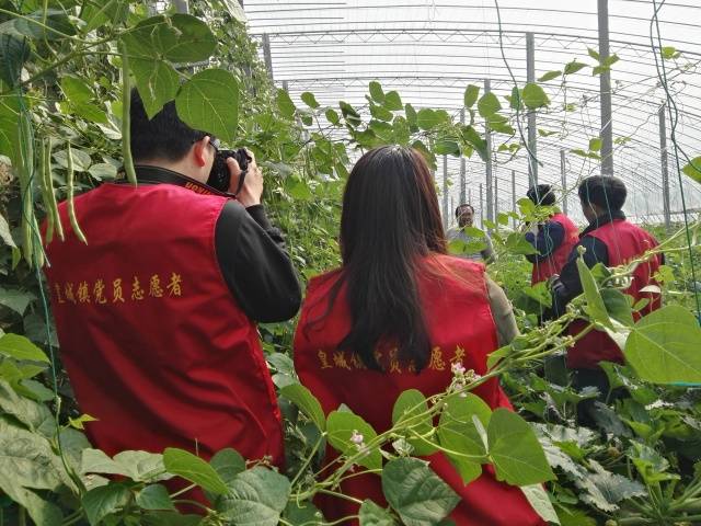 弘扬真善美 传递正能量——皇城雨露志愿服务为您呈现