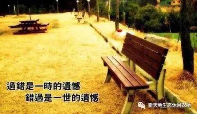 "阳光少年"夏令营,让这个暑假不留遗憾!