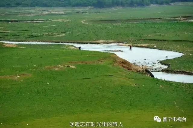 葵潭附近的"普宁大草原"引发热议,你怎么看?