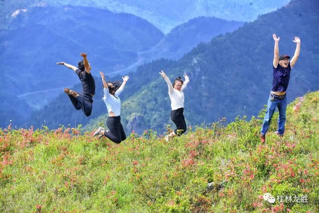 广西龙胜小南山:杜鹃花开遍地红